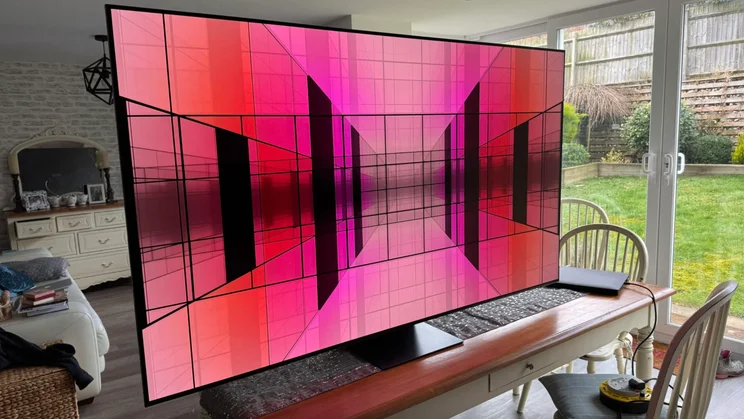 The Samsung S95F QD-OLED in a conservatory