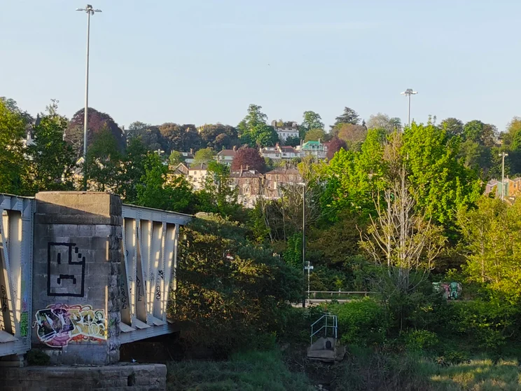 5x hybrid zoom shot of a bridge surrounded by trees