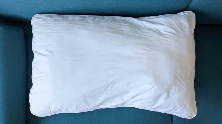 A bird's eye view of the Dreams Side Sleeper Pillow