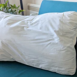 The Dreams Side Sleeper Pillow propped up on a blue sofa in a living room