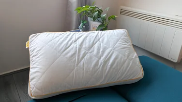 The Eve Hybrid Side Sleeper pillow on top of a sofa bed in a living room. Behind it is a table with potted plant