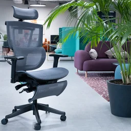 The Flexispot C7 office chair in an office