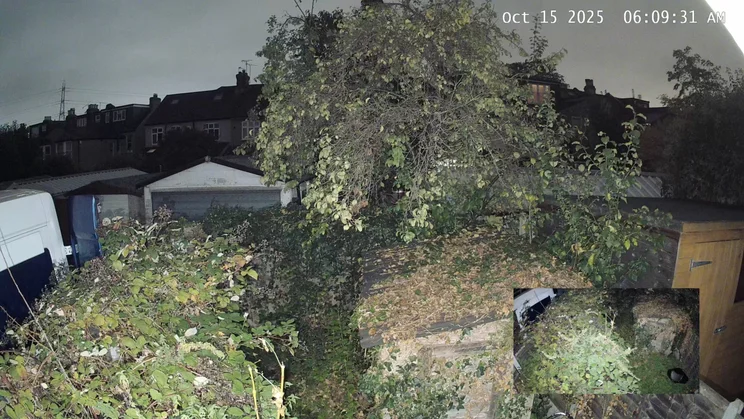 An example of the EufyCam S4's colour night vision