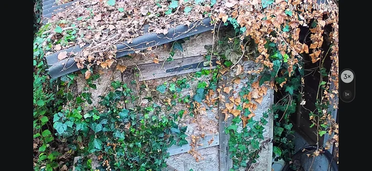 The S4's 3x optical zoom lets you focus in closely on scene details