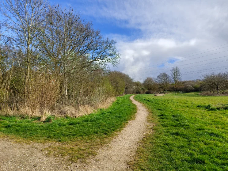 A path alongside a meadow