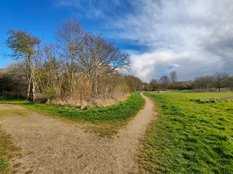 Wide-angle shot of a path alongside a meadow