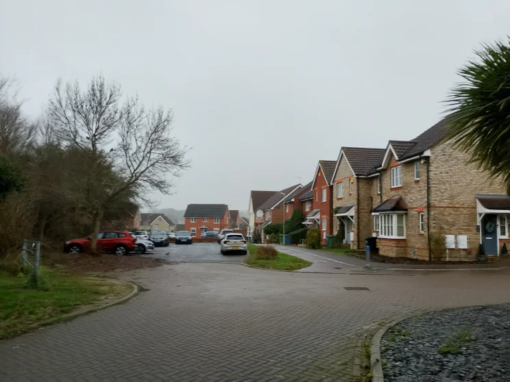 A quiet close on a gloomy winter day, houses on the right, trees on the left