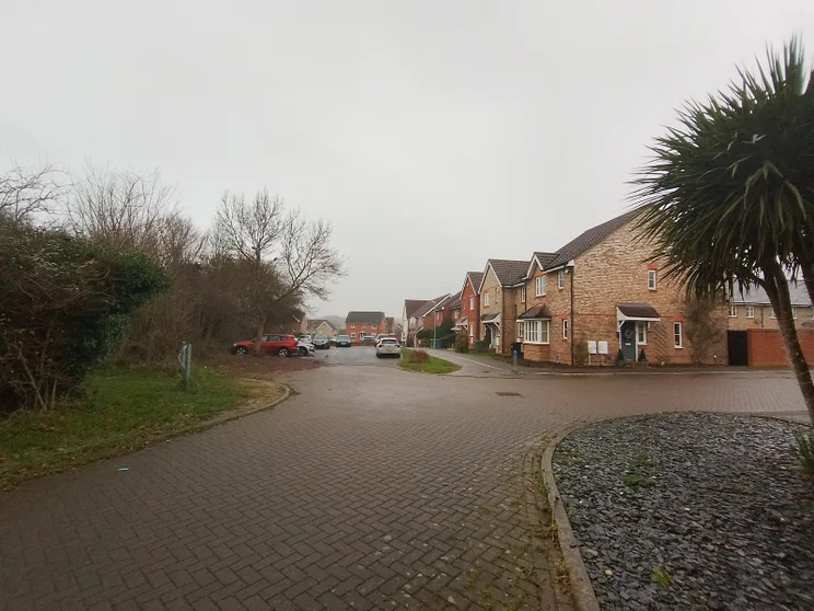 Wide-angle shot of a quiet close on a gloomy winter day, houses on the right, trees on the left