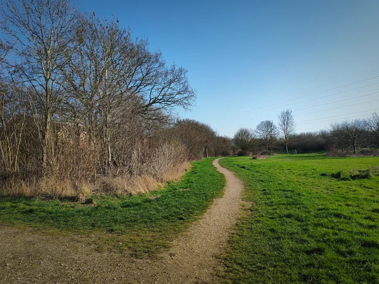 A meadow with a path leading along the edge