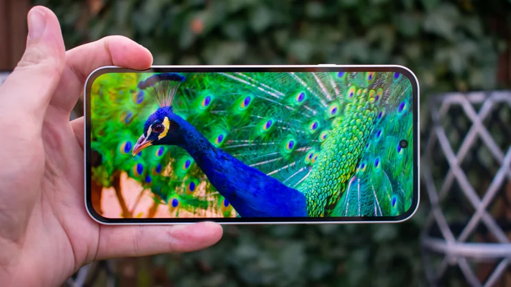Nothing Phone (4a), display showing a nature video