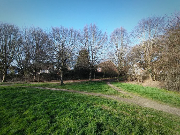 Wide-angle shot of a meadow
