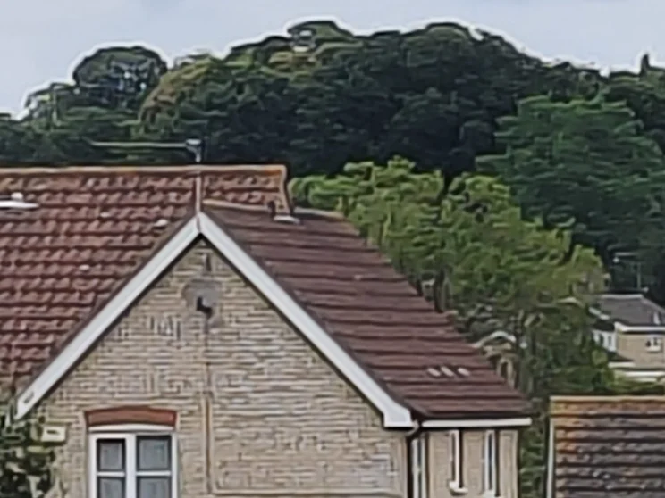 20x zoom of a house with trees behind it