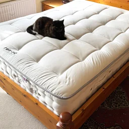REM-Fit Natural Lux Hybrid mattress, with a cat on it