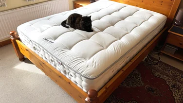 REM-Fit Natural Lux Hybrid mattress, with a cat on it