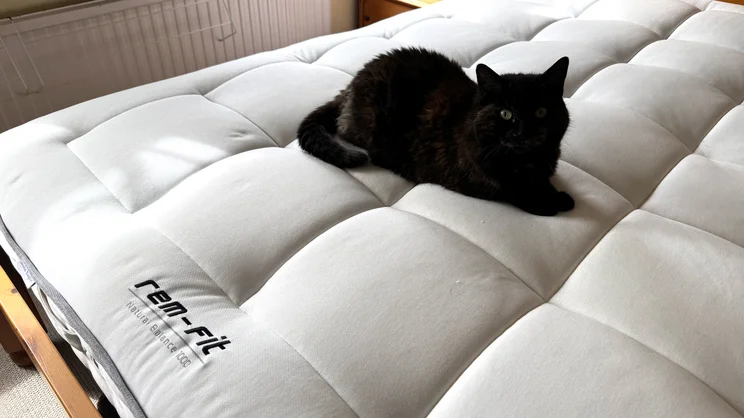 A cat sits on the surface of the REM-Fit Natural Lux Hybrid mattress