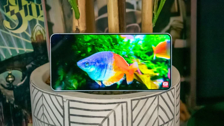Samsung Galaxy S26 Plus in a plant pot, displaying a nature video