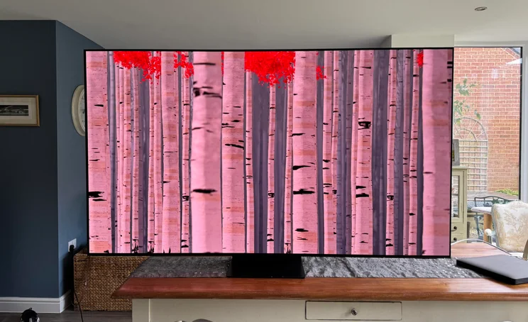 Front view of the Samsung S95F QD-OLED TV