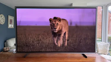 Front view of the Samsung S99H quantum dot OLED TV displaying a picture of a lion