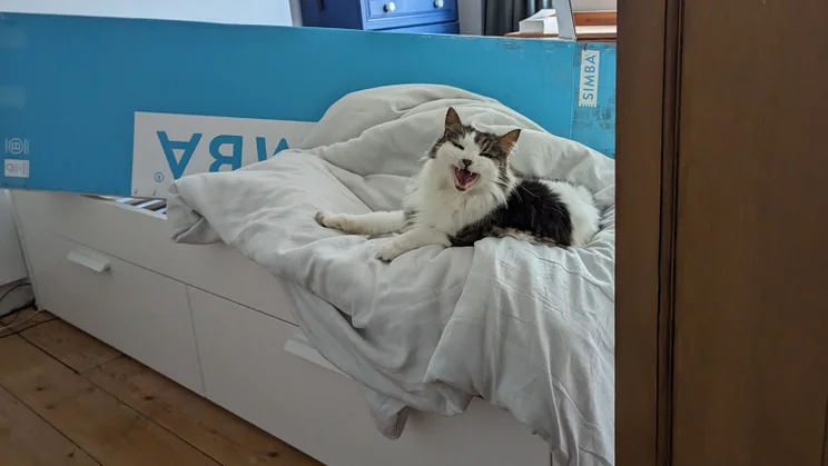 simba-hybrid-pro_mattress-review_unboxing1-bonus cat on duvet