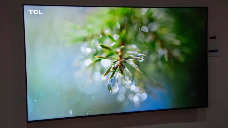 The C7L SQD Mini LED TV mounted on a wall displaying a close-up of leaves covered in water droplets