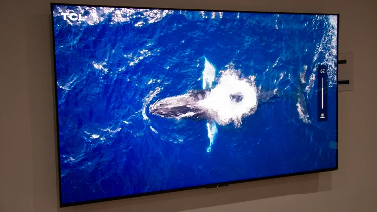 The TCL C7L SQD Mini LED TV mounted on a wall displaying an image of a whale surfacing in the ocean