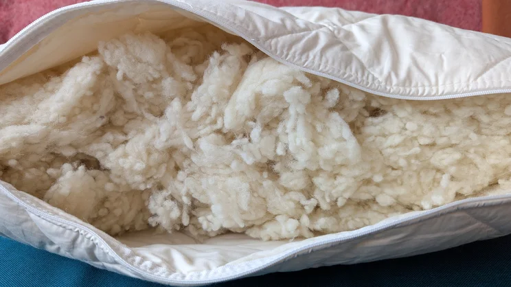 A closeup of the Woolroom Deluxe Washable Wool Pillow, unzipped to show its filling
