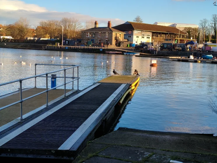 2x digital zoom of birds sitting on the edge of a dock in front of a river
